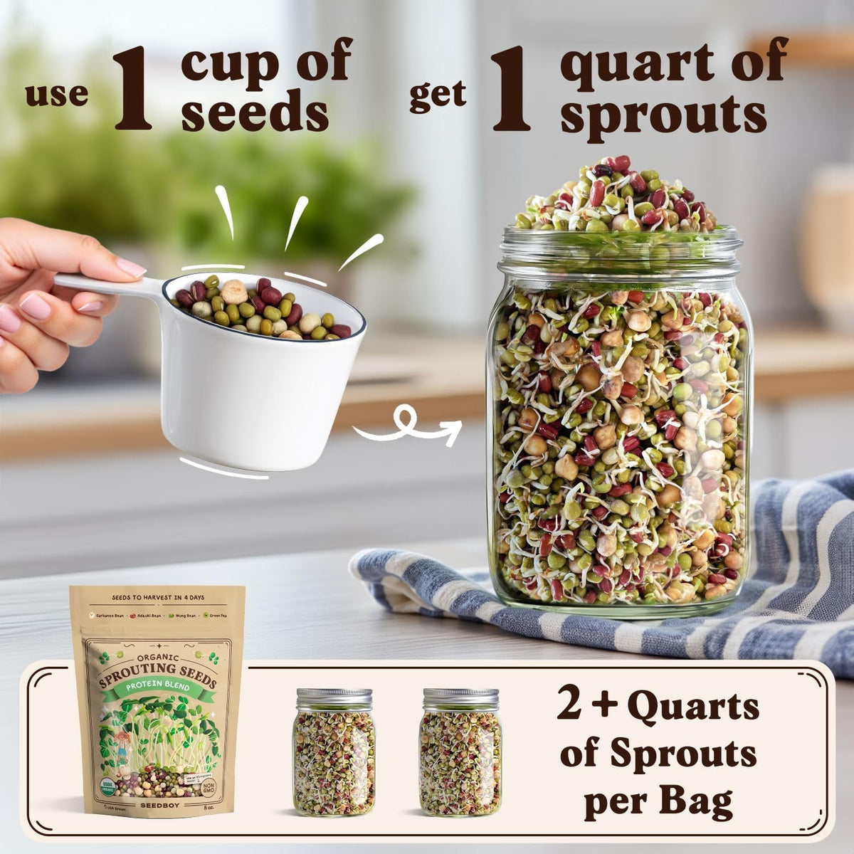 Seedboy Organic Non-GMO Sprouting Seeds, Protein Blend – USA Grown Microgreens Mix with Garbanzo