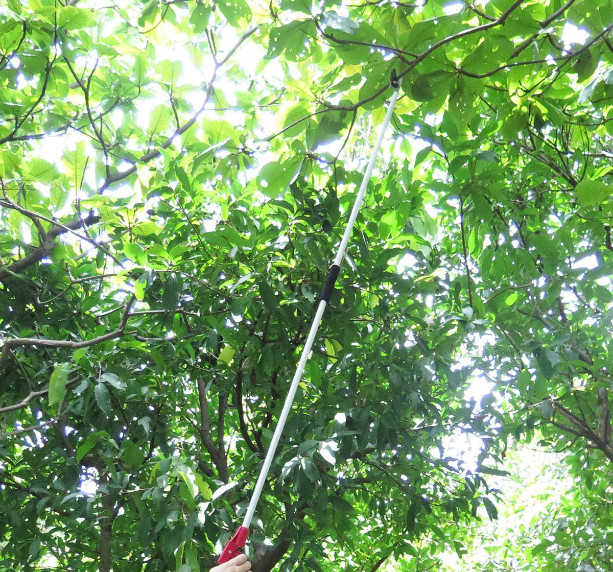 6 Feet Cut and Hold Tree Pruner, Rotation Pole Tree Trimming, Long Reach Fruit Picker, Branches