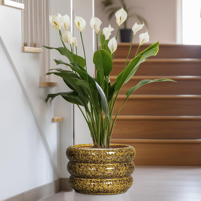 SQOWL Ceramic Pots for Plants - 13.5 Inch Ceramic Planter for Indoor Plants, Large Plant Pots with