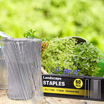 HongWay 60 Pack 12 Inch Landscape Staples, Tent Stakes Heavy Duty Galvanized 11 Gauge Garden Pins