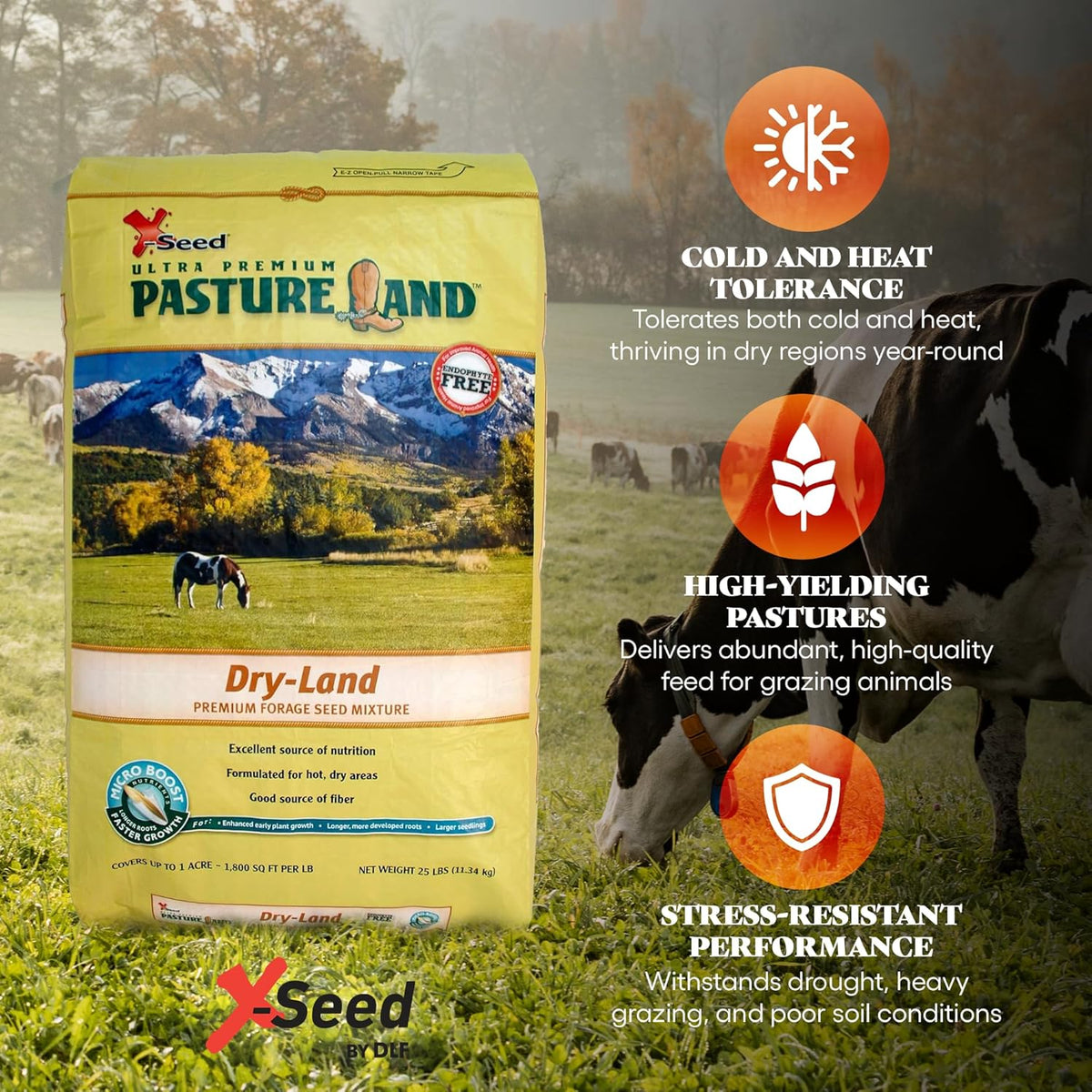 X-Seed Pasture Land Dry-Land Forage Seed Mixture with Micro-Boost – Tall Fescue Orchard Grass