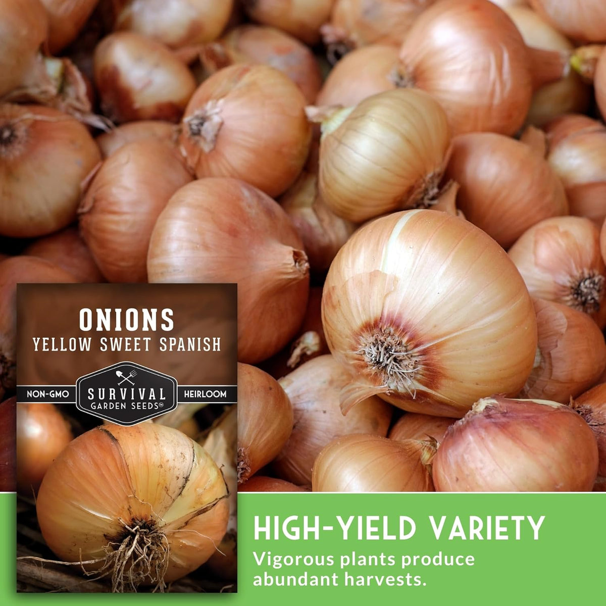 Yellow Sweet Spanish Onion Seed for Planting - 5 Packets with Instructions to Plant and Grow Long