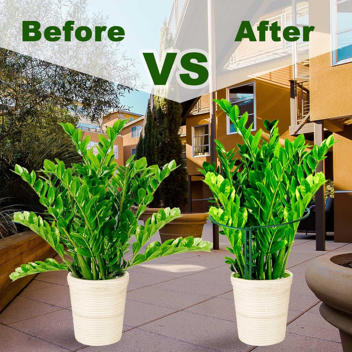HiGift 8 Pack Plant Support Stakes, Half Round Metal Garden Plant Stake Indoor Peony Cages and