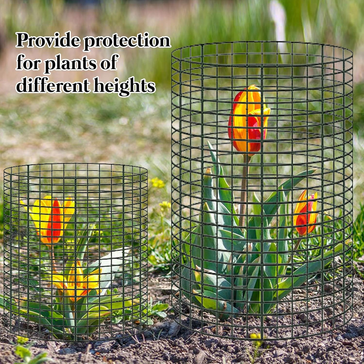 10 Pack Round Plant Protector from Animals, 12'' x 24'' and 12'' x12'' Metal Plant Cages to Keep
