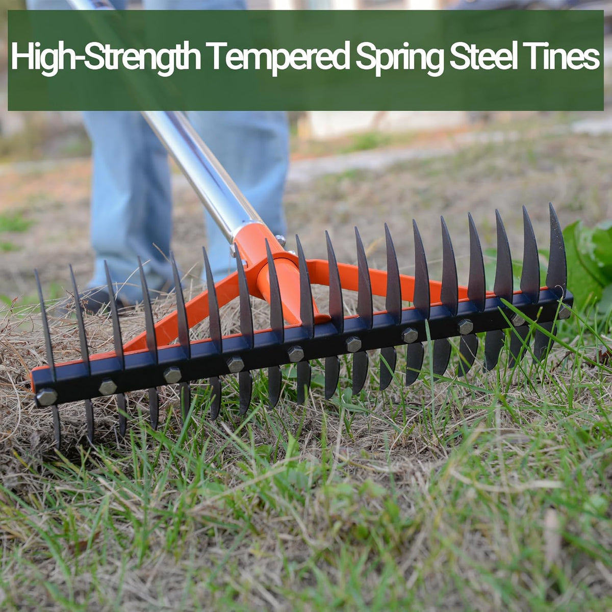 Thatch Rake for Lawns 18 Sharp Tempered Spring Steel Tines Dethatcher Rake Heavy Duty Dethatching