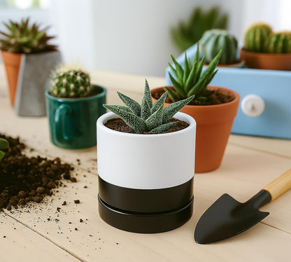 D'vine Dev 4.7 Inch Ceramic Planter Pot with Drainage Hole and Saucer, Indoor Cylinder Round