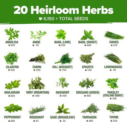 HOME GROWN Premium HERB Seeds Variety Pack - 20 Heirloom Herb Seeds for Planting - 6,000+ Non-GMO