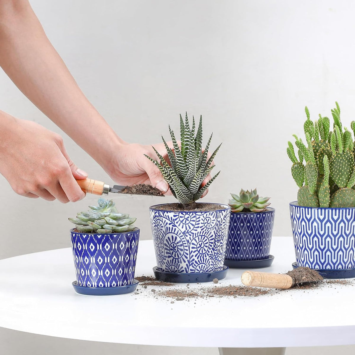 Selamica Ceramic Succulent Pots, 4.3 Inch Small Plant Pots with Drainage Holes and Saucers, Small