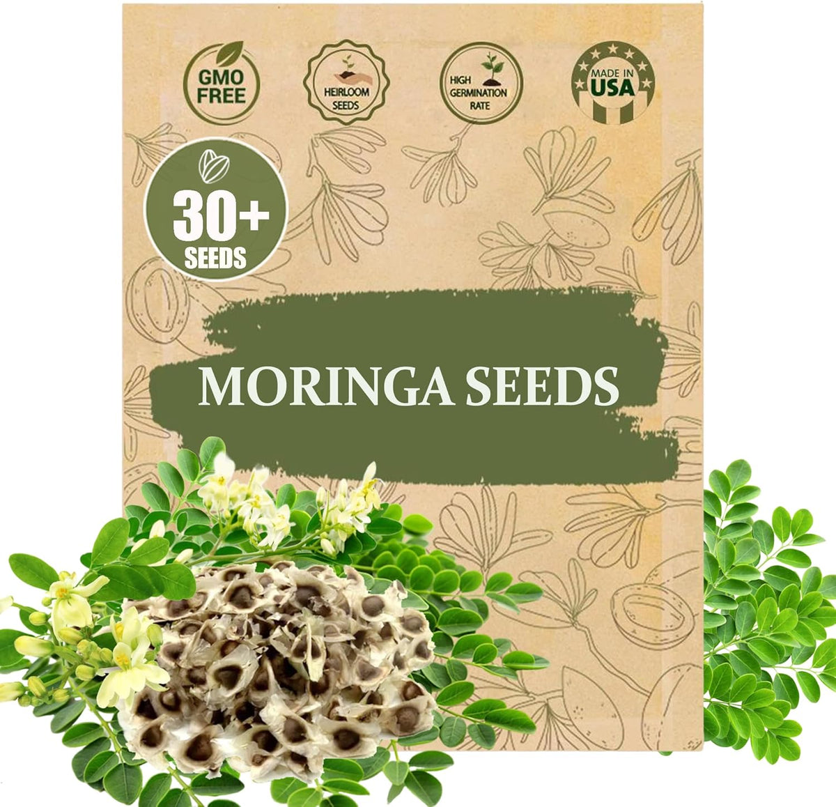 Rare Moringa Seeds - 30 Seeds for Planting | Non-GMO, Heirloom, Fast-Growing Drumstick Tree Seeds |