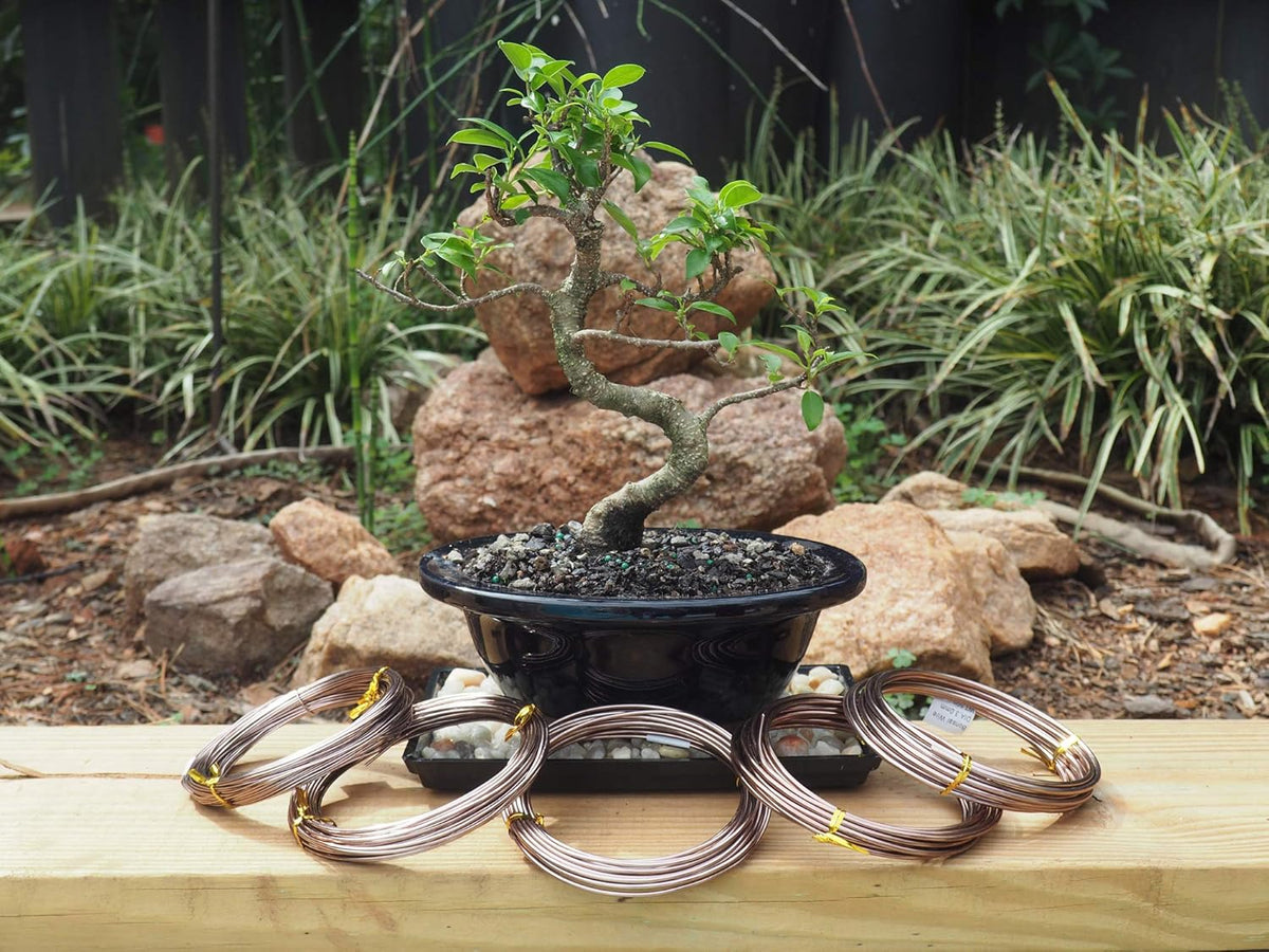 Anodized Aluminum Bonsai Training Wire 5-Size Starter Set with Canvas Bag - 1.0mm, 1.5mm, 2.0mm