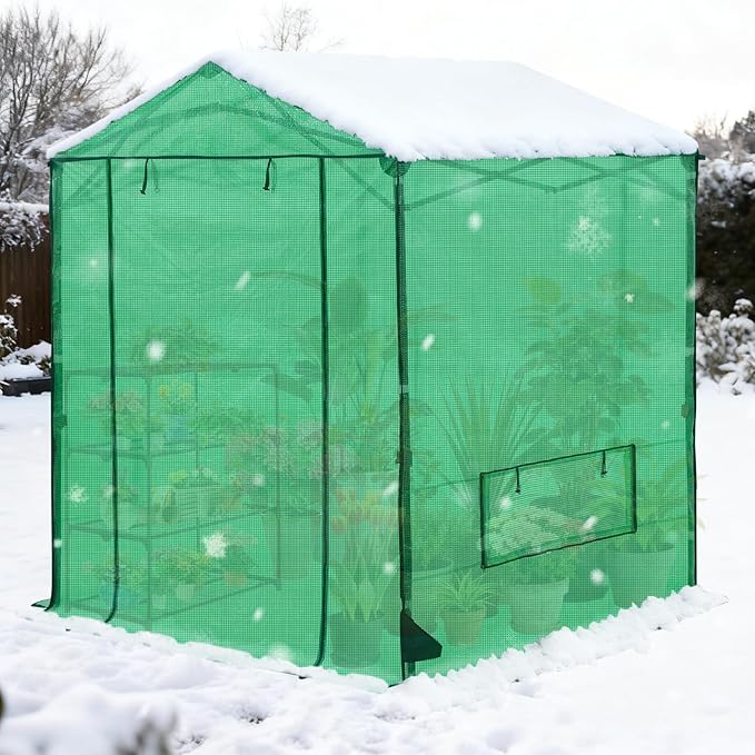 COOS BAY 6x6 FT Portable Walk-in Greenhouse, Pop up Outdoor Green House with Power Access Openings