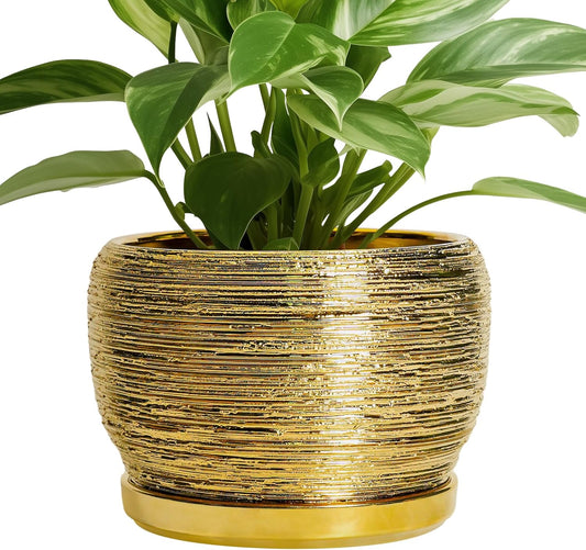 SQOWL Ceramic Flower Pot - 8 Inch Plant Pot Indoor Outdoor, Round Planter with Drainage Hole and