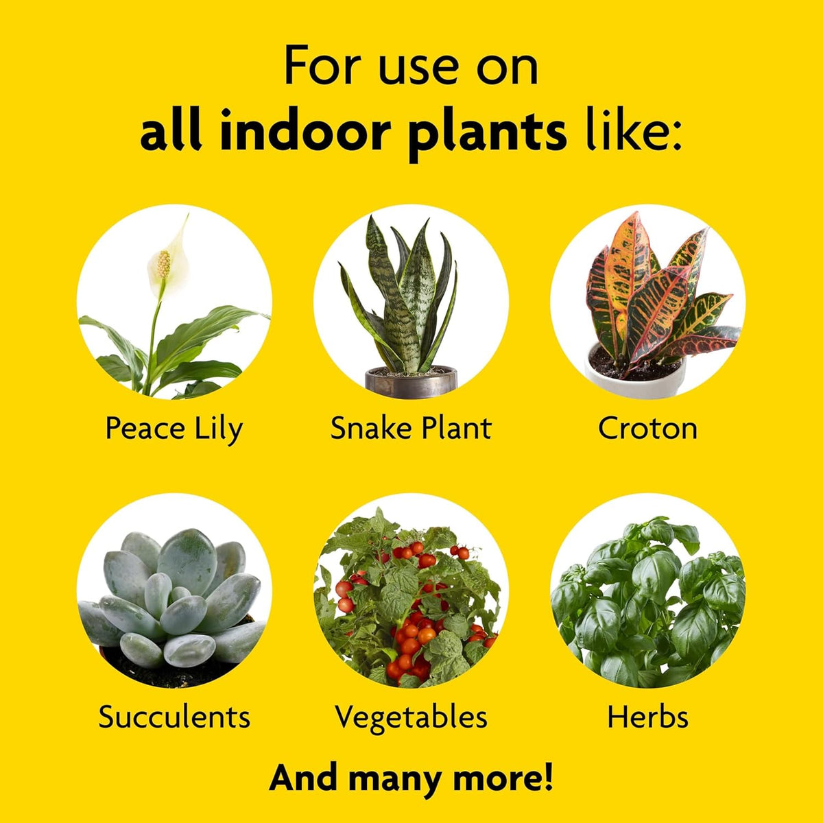 Miracle-Gro Indoor Potting Mix (6 qt.) and Indoor Plant Food (8 oz.) - Bundle for Growing and