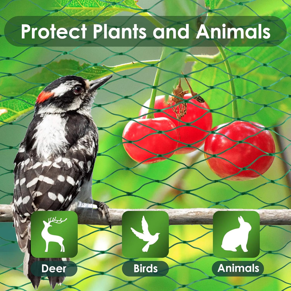 Ruolan Bird Netting for Garden Protect Vegetable Plants and Fruit Trees13X20Ft,Plastic Trellis