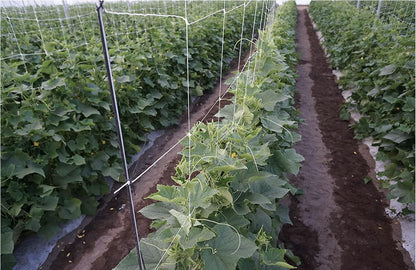10-Feet by 4920-Feet Professional Grade Vegetable Support Trellis Netting Roll/Scrog Net Roll