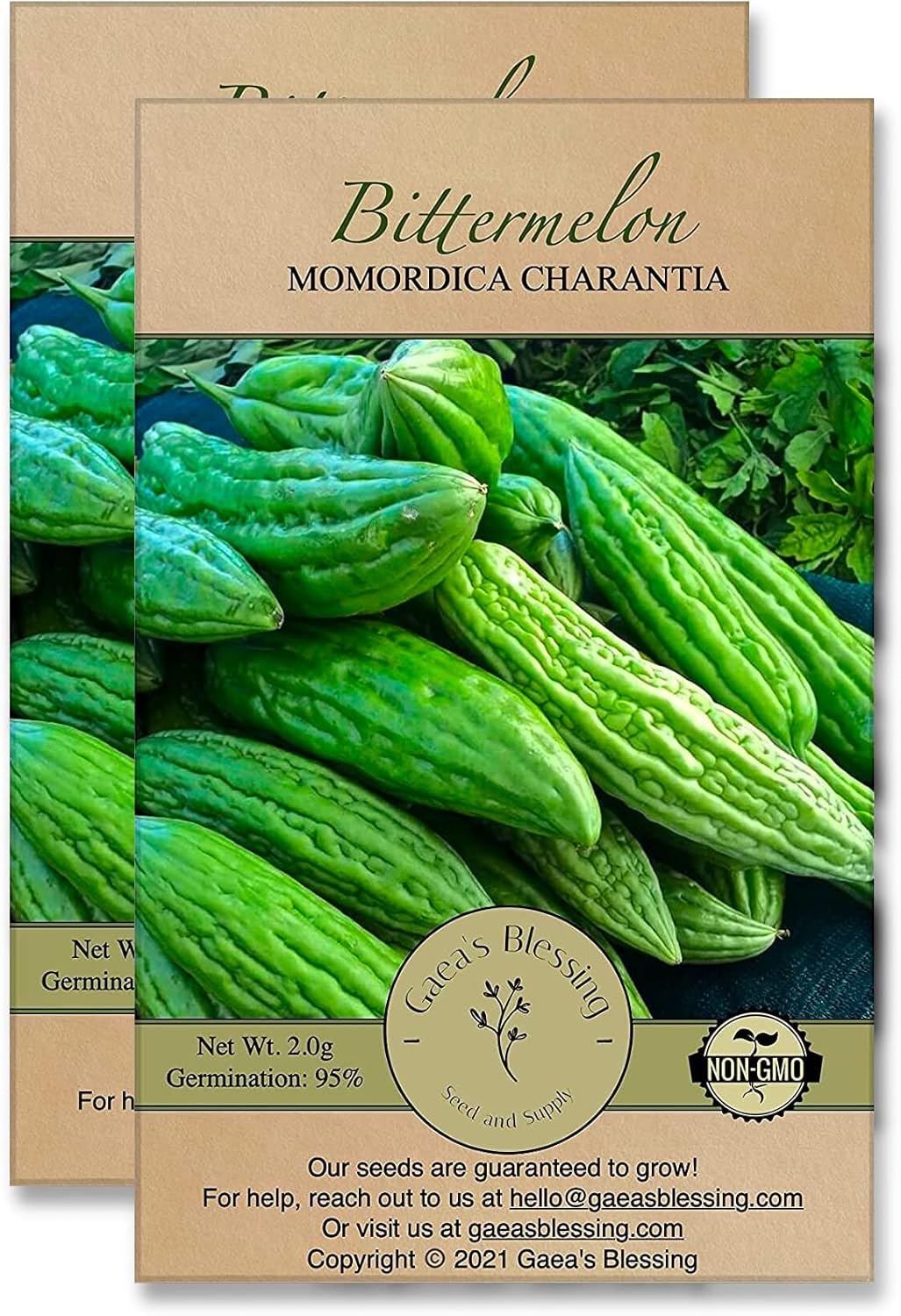 Gaea's Blessing Seeds - Bitter Melon Seeds - Bitter Gourd Heirloom Non-GMO Bittermelon Seeds with