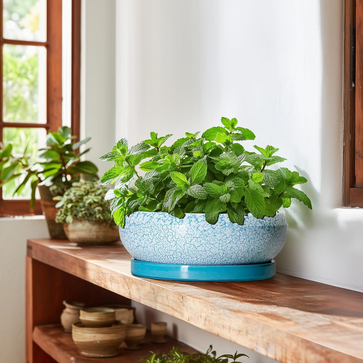 Bonsai Pots 10 Inch - Shallow Ceramic Planters for Indoor Outdoor, Succulent Pots with Drainage