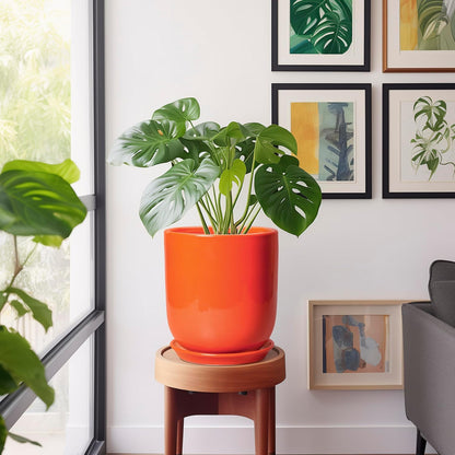 Indoor Planter 10 Inch - Ceramic Plant Pot with Drainage Hole and Saucer, Modern Decorative Round
