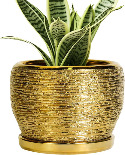 SQOWL Ceramic Planter - 6 Inch Plant Pot Indoor Outdoor, Modern Round Planter with Drainage Hole