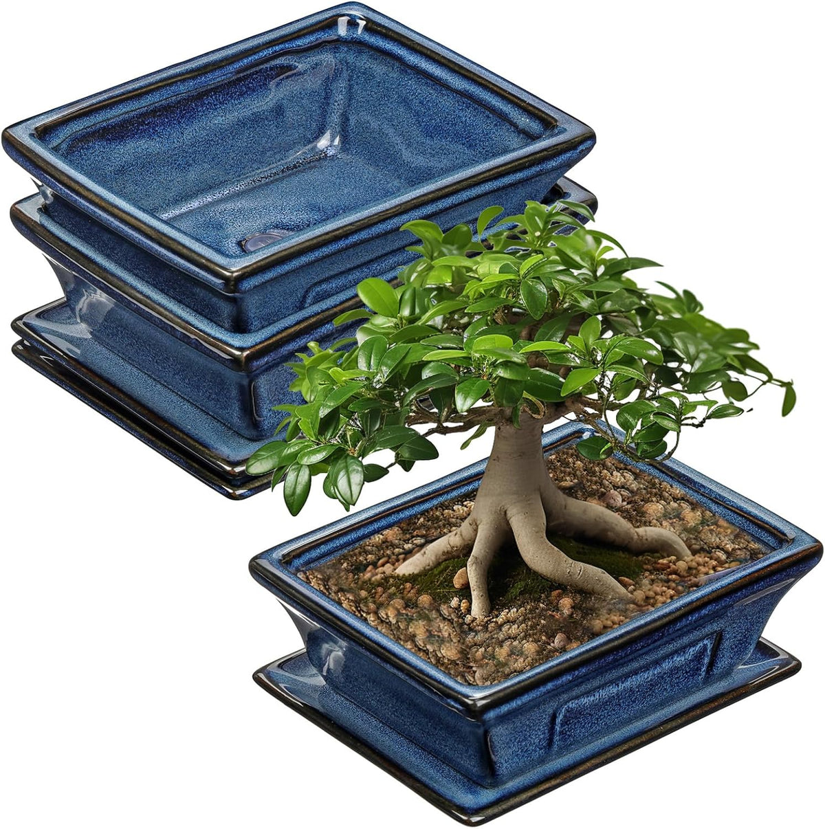 Ceramic Bonsai Pots with Drainage Tray Set of 2, 6 Inch Blue Glazed Bonsai Planters for