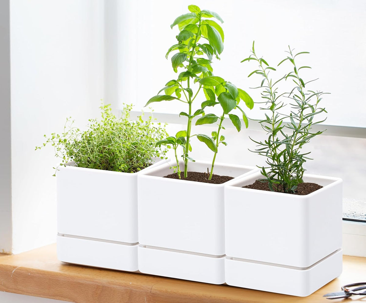 4 Inch Herb Planter Pot, Plastic Planter with Drainage Holes and Saucer, Modern Decorative
