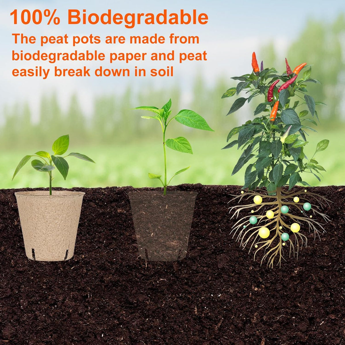 60 Packs 3.15 Inch Peat Pots,Biodegradable Pots for Seedlings with Drainage Holes, Garden