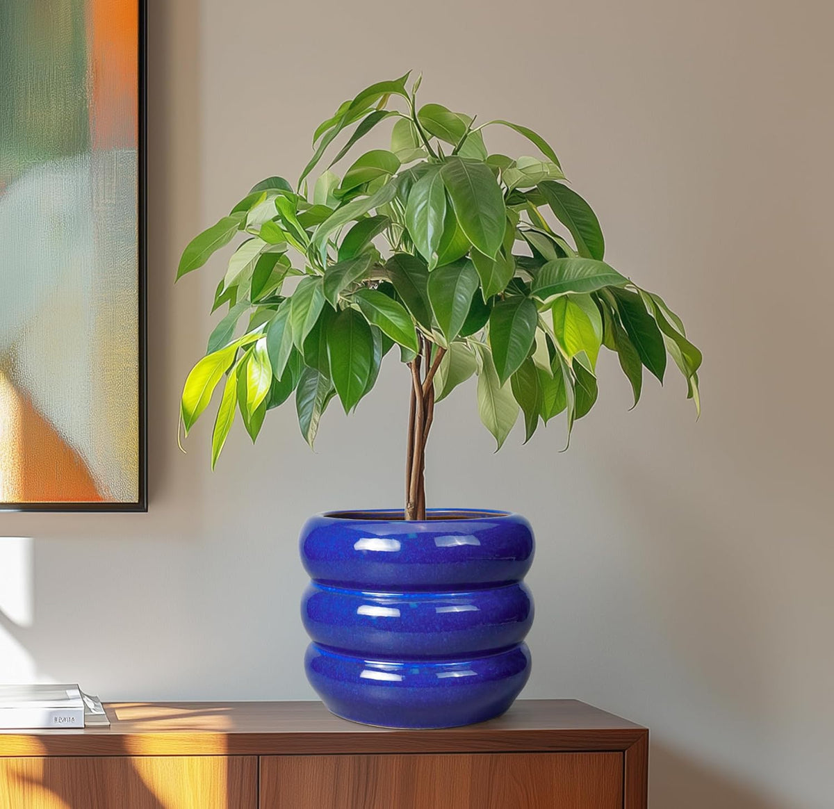 SQOWL 8 Inch Plant Pot - Ceramic Planter Indoor Plant Pot with Drainage Hole Outdoor Flower Pot