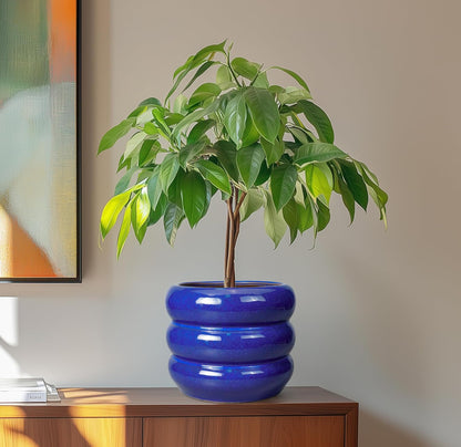 SQOWL 8 Inch Plant Pot - Ceramic Planter Indoor Plant Pot with Drainage Hole Outdoor Flower Pot