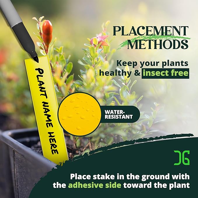 Catchmaster Dual Action Plant Labels 100 PK, Sticky Insect Trap Plant Stakes, for Live Plants