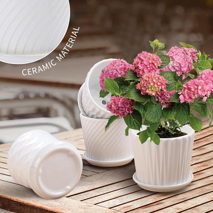 Plant Pots - 5.5 Inch Cylinder Ceramic Planters with Connected Saucer, Pots for Succuelnt and