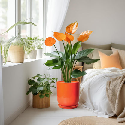 Indoor Planter 10 Inch - Ceramic Plant Pot with Drainage Hole and Saucer, Modern Decorative Round