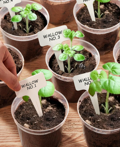 homenote Clear Nursery Pots for Plants,6.7 Inch Plant Pot for Planting Plastic Seedling with