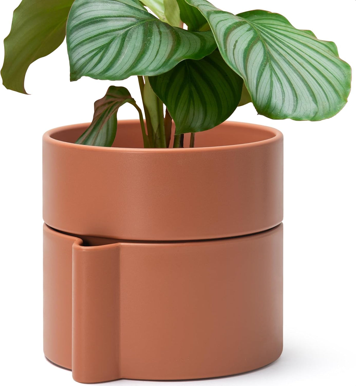 8 Inch Self-Watering Planter Pot with Terracotta Insert, Deep Water Reservoir, and Ceramic-Alike