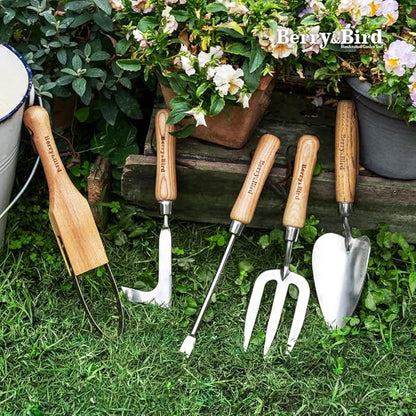 Berry&Bird Dandelion Weeding Tool Crack Weeder Manual Hand Weeder, V-Shaped Fork Easy Weed Removal