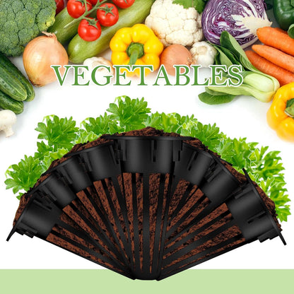 Cunhill 100 Pcs Hydroponic Growing Kit Include 50 Pcs Plant Replacement Basket Containers and 50