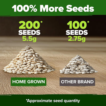 HOME GROWN 𝗨𝗦𝗔 𝗣𝗥𝗘𝗠𝗜𝗨𝗠 Organic Cucumber Seeds - 200 Marketmore Heirloom 𝗡𝗢𝗡-𝗚𝗠𝗢