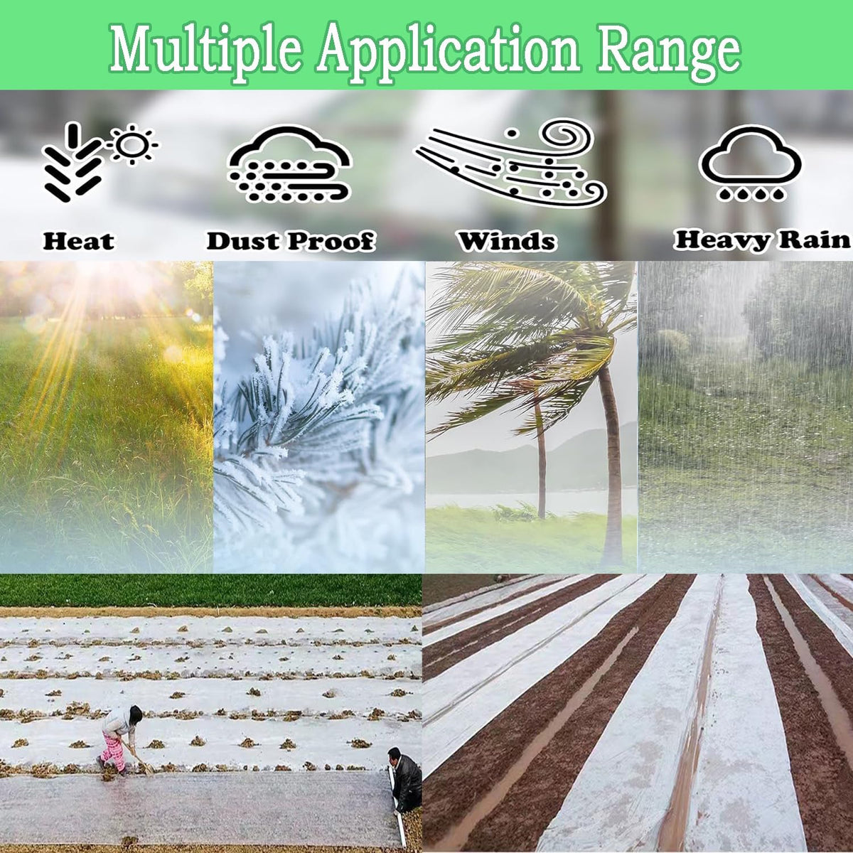 6.5FTx10FT Greenhouse Plastic Sheeting, 6 Mil Thick Clear Polyethylene Film, Waterproof Wind Frost