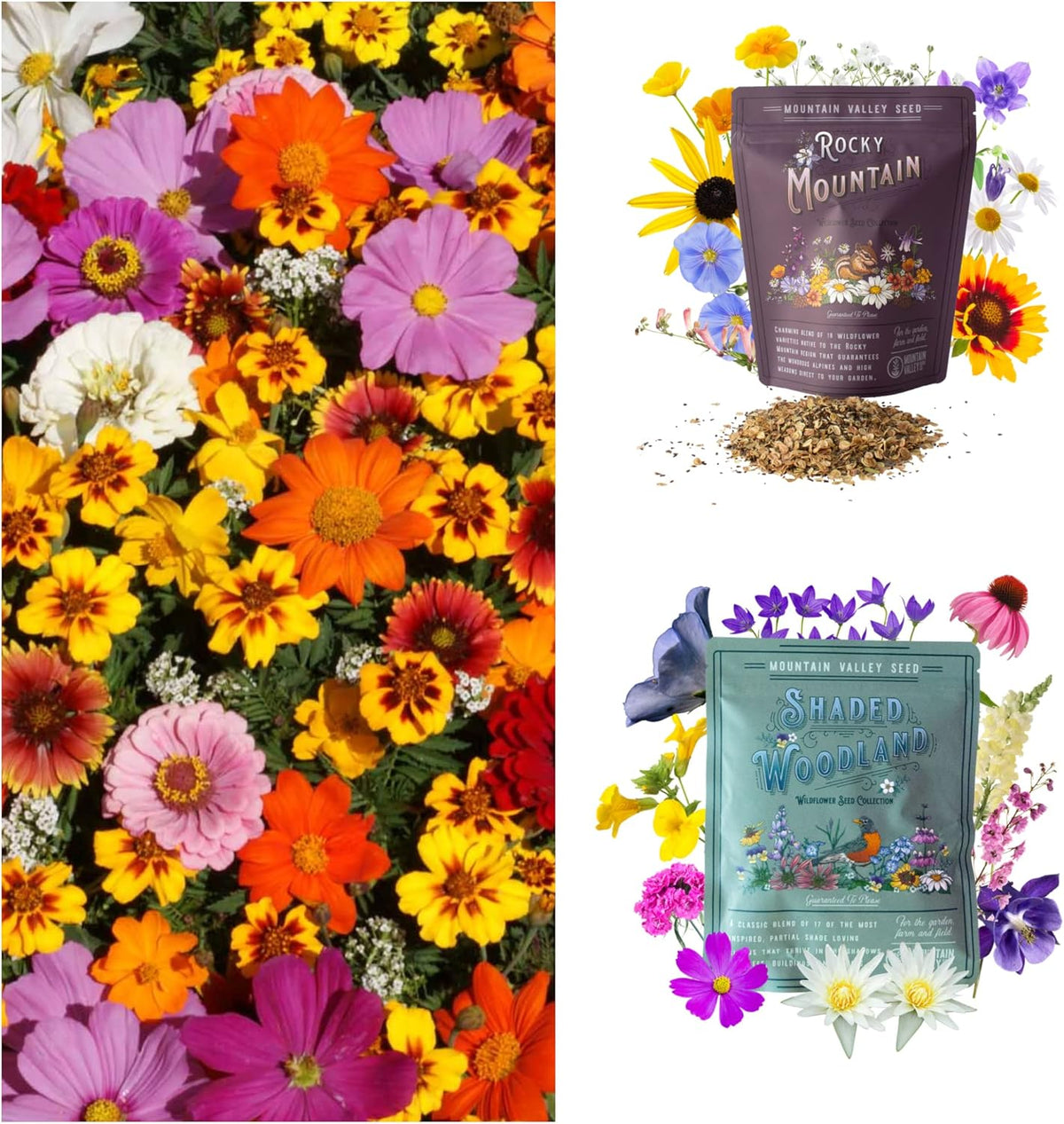 Wildflower Seeds Collection - 500,000+ Bulk Seeds - 6 Different Mixes Including Hummingbird &