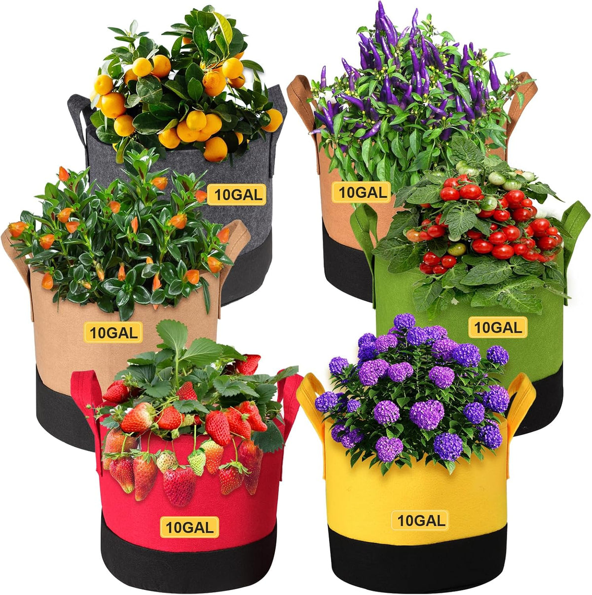 Grow Bags 10 Gallon,6 Pack Fabric Plant Pots with Handles Planter Bag for Outdoor Garden Planting