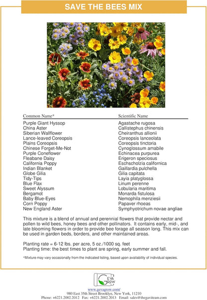 Wildflower Seed Mix 1LB Tub - Save The Bees Seed Mix, by GevaGrow | Bulk 300,000+ Seeds |