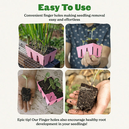 Epic Gardening Reusable Seed Starter Tray - 6 Cell/24 Seedling Starter Trays - Easy Watering
