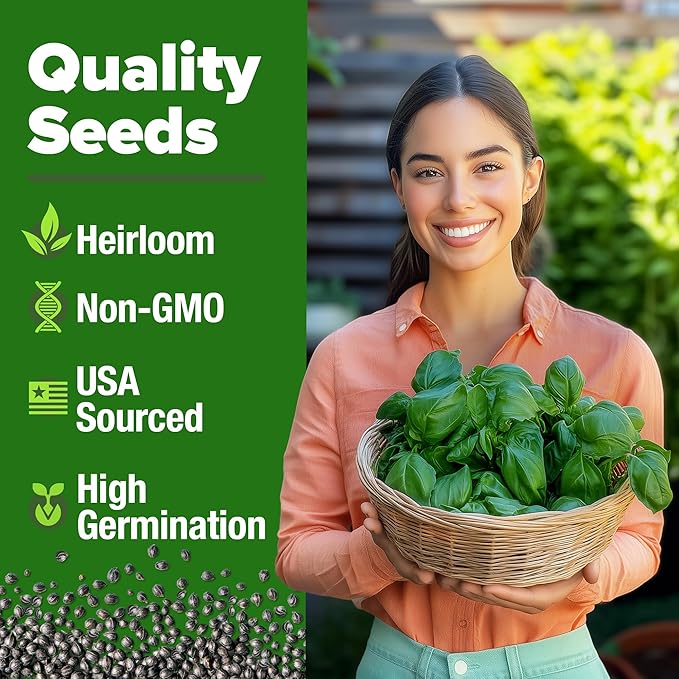 HOME GROWN 𝗨𝗦𝗔 𝗣𝗥𝗘𝗠𝗜𝗨𝗠 Italian Basil Seeds Bulk Pack 1,424 Sweet Large Leaf Basil Seeds