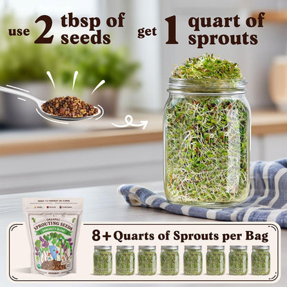 Seedboy Organic Non-GMO Sprouting Seeds, Immune System Booster - USA Grown Microgreens Mix with