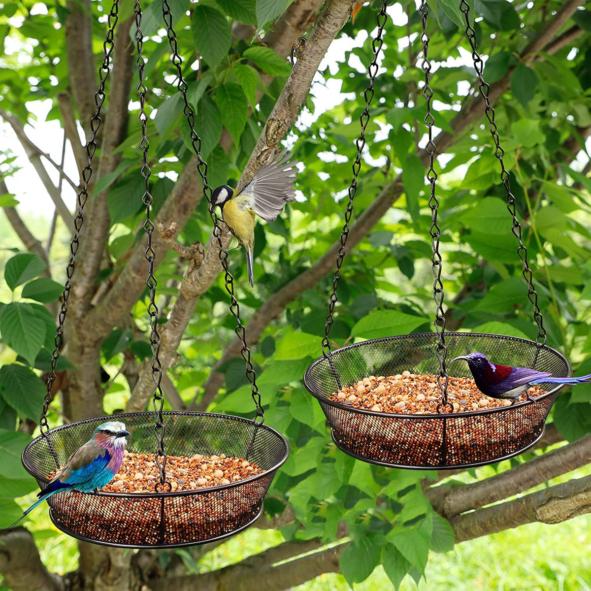 Bird Feeder, Hanging Bird Feeders for Outdoors Metal Mesh Birdfeeder Tray