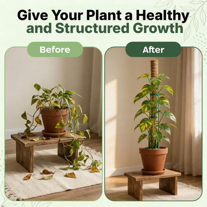 4 Pack 16" Moss Pole Monstera Plant Support - Stackable up to 48" - Plant Stakes for Indoor