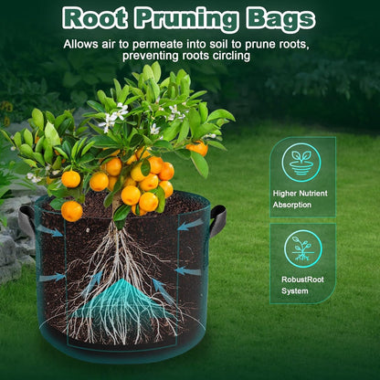 5 Pack 5 Gallon Grow Bags, Thickened Aeration Nonwoven Fabric Plant Pots with Handles, Heavy Duty
