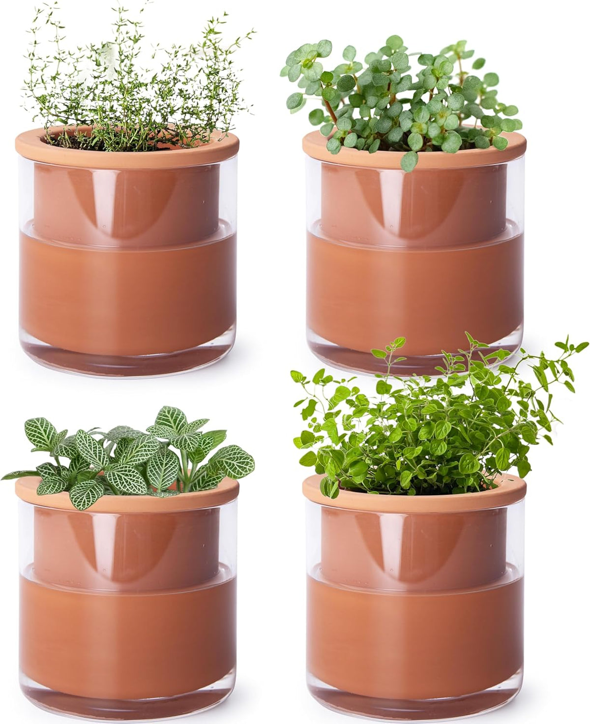 Phoenix Vine 4 Inch Self Watering Plants Pot, Design Terracotta Pot for Plants, Indoor Cylinder