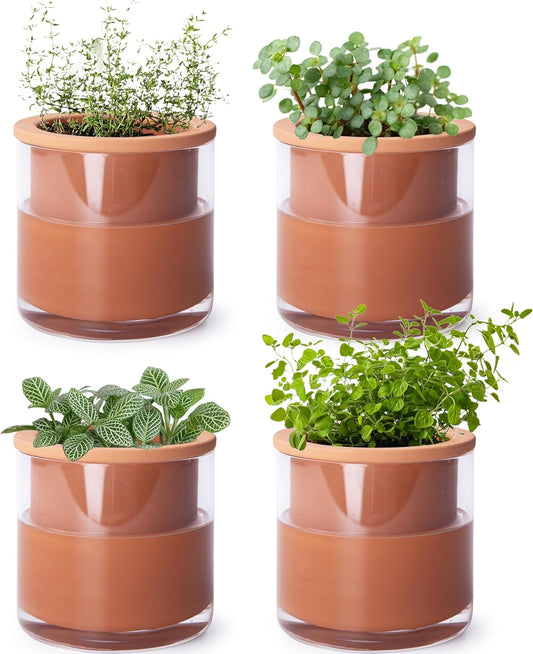 Phoenix Vine 4 Inch Self Watering Plants Pot, Design Terracotta Pot for Plants, Indoor Cylinder