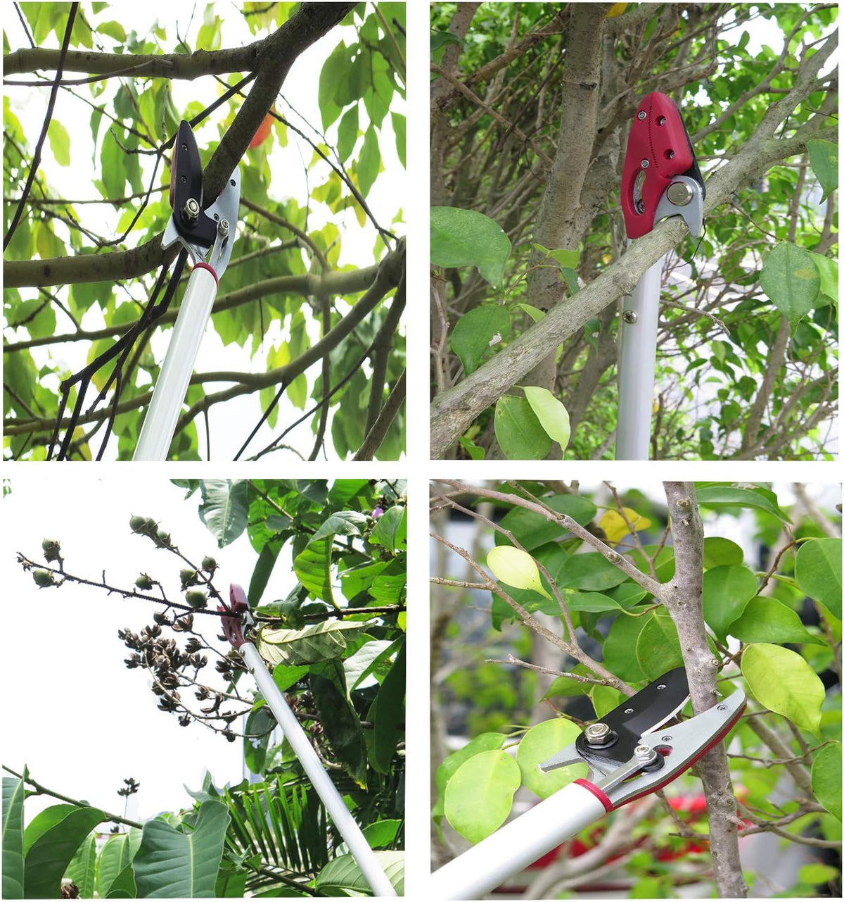 6 Feet Cut and Hold Tree Pruner, Rotation Pole Tree Trimming, Long Reach Fruit Picker, Branches