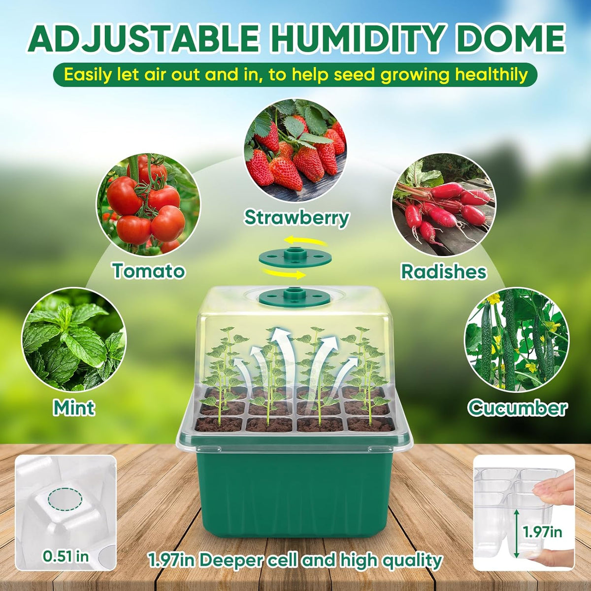 BlumWay Self-Watering Seed Starter Tray Kit with Grow Light and Humidity Dome,3 Color Growing